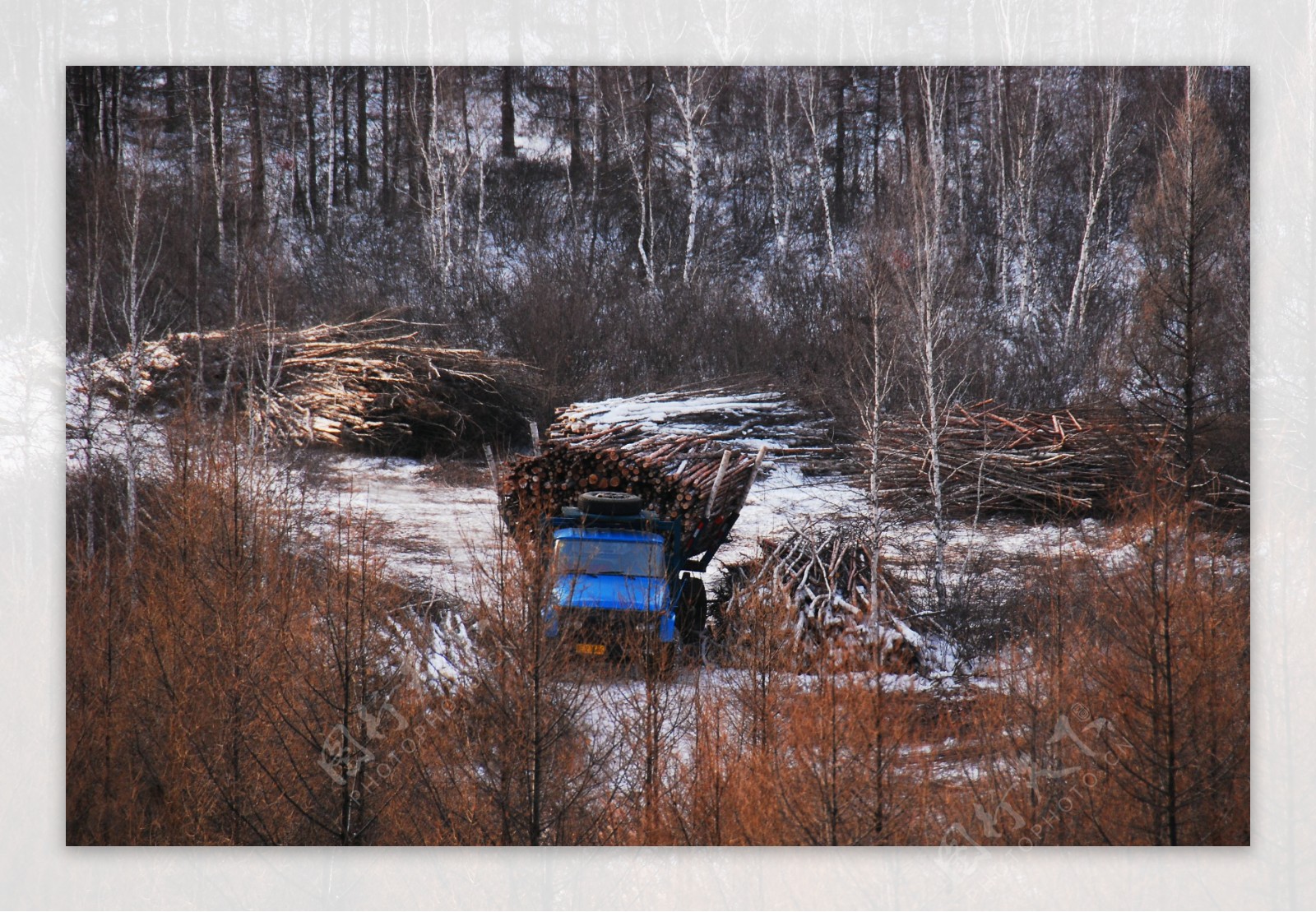 冬季南山采伐装运剪影图片