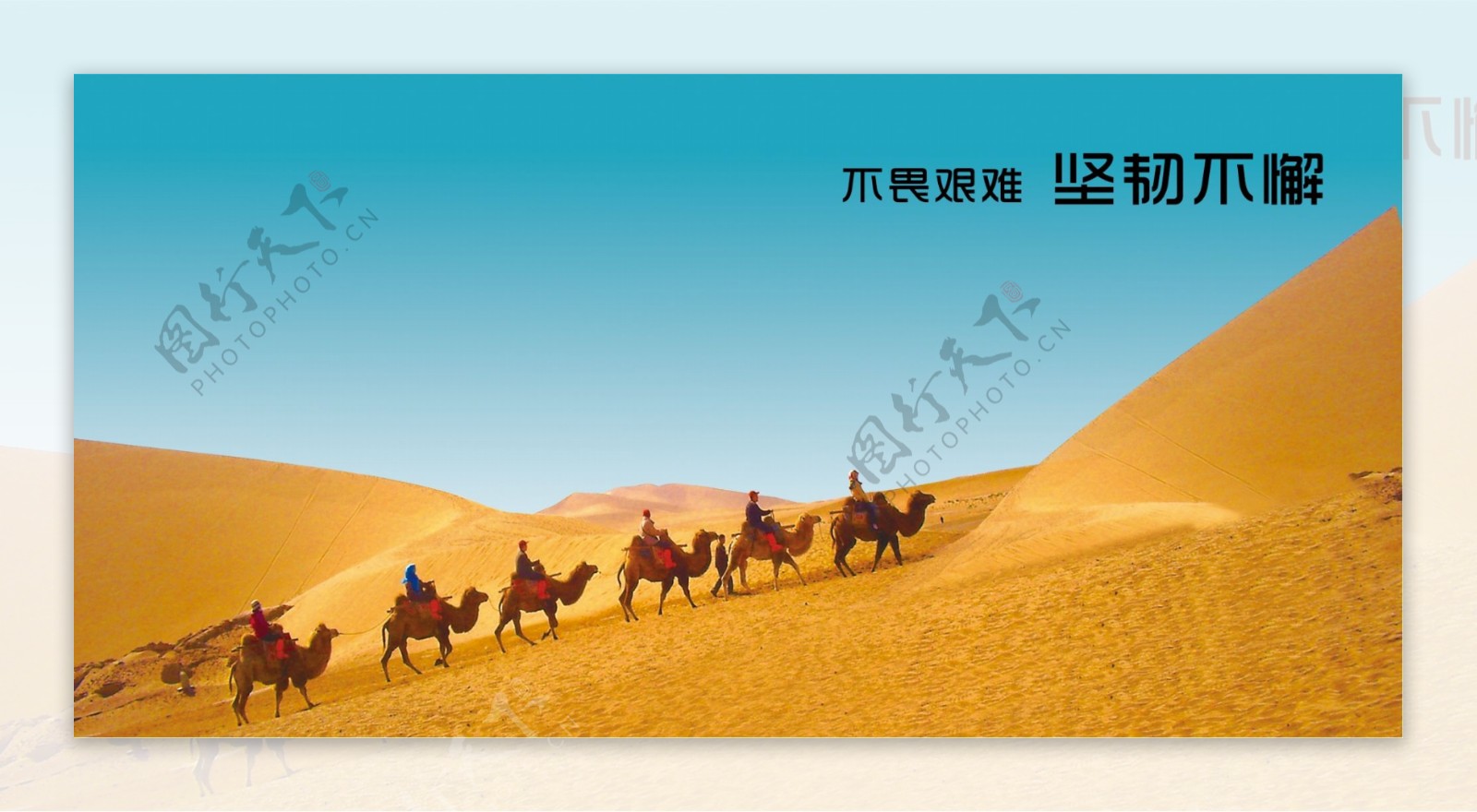 沙漠骆驼banner素材PSD源文件