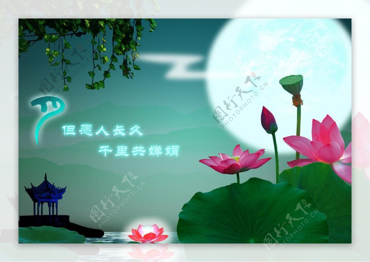 月满中秋节日素材图片