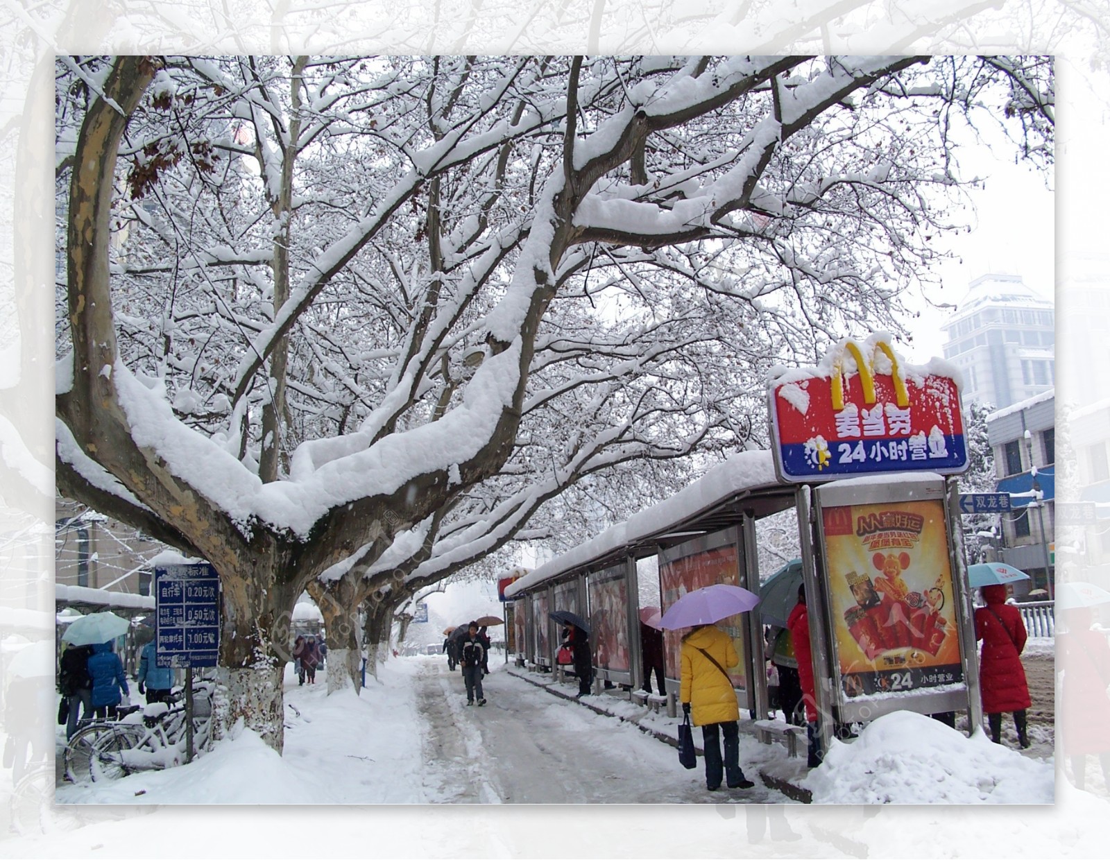 2008年中央路雪景图片