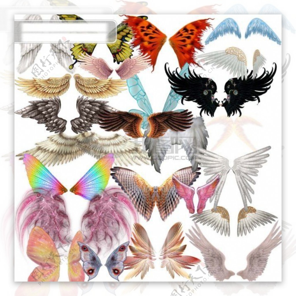 天使的翅膀图片非主流天使的翅膀图片下载