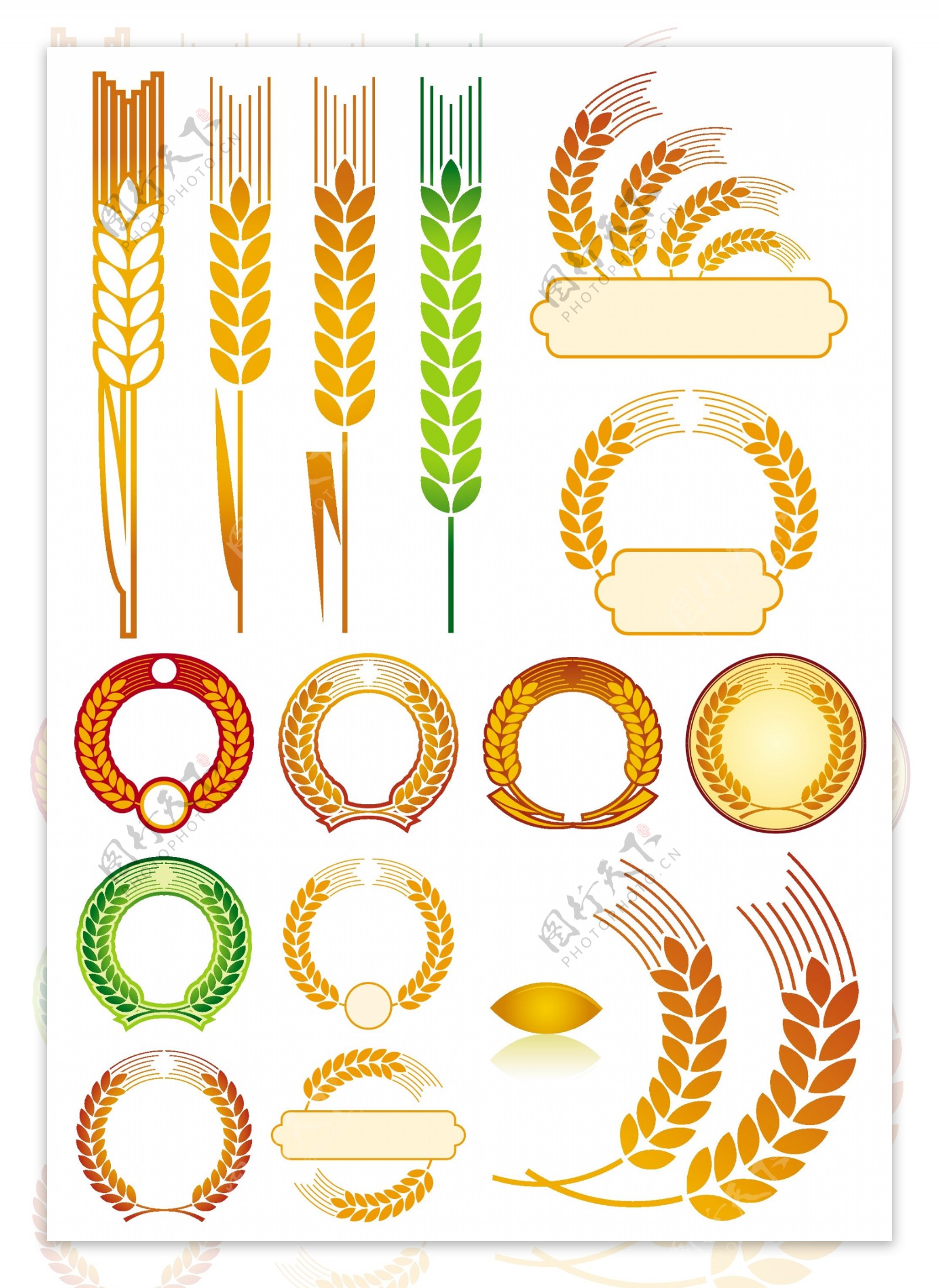 矢量麦穗小麦图标设计