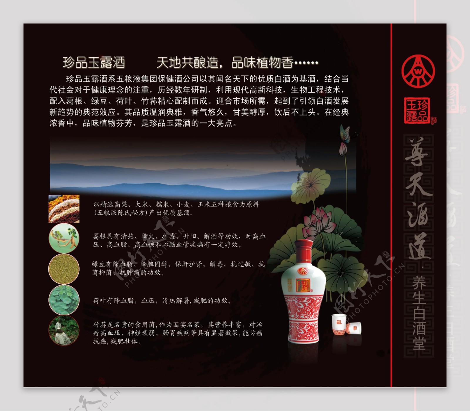 五粮液珍品玉露图片