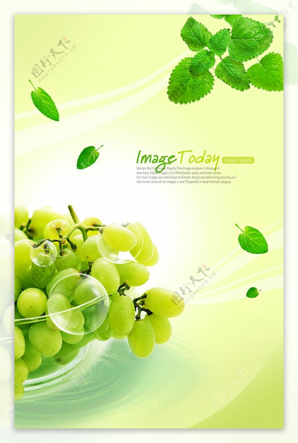 绿色水果背景素材PSD