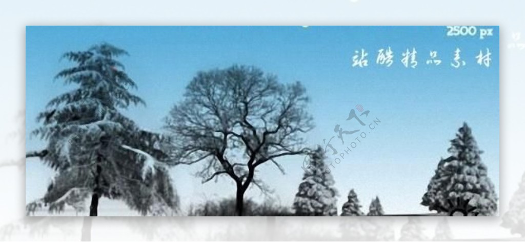 高清晰冬天的大树ps笔刷图片