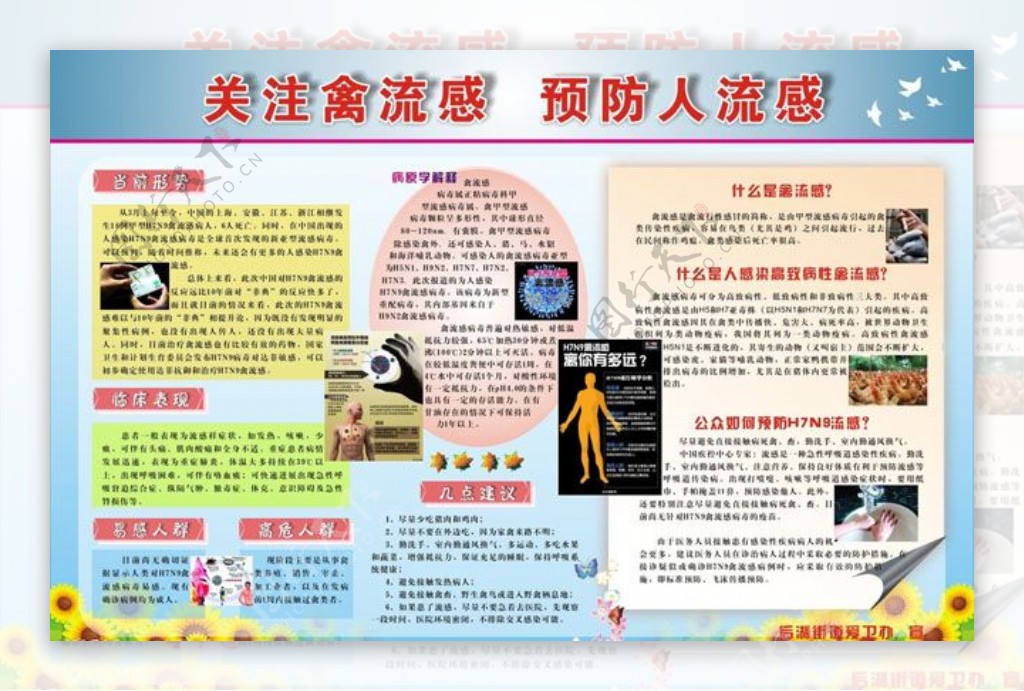 H7N9禽流感宣传广告设计