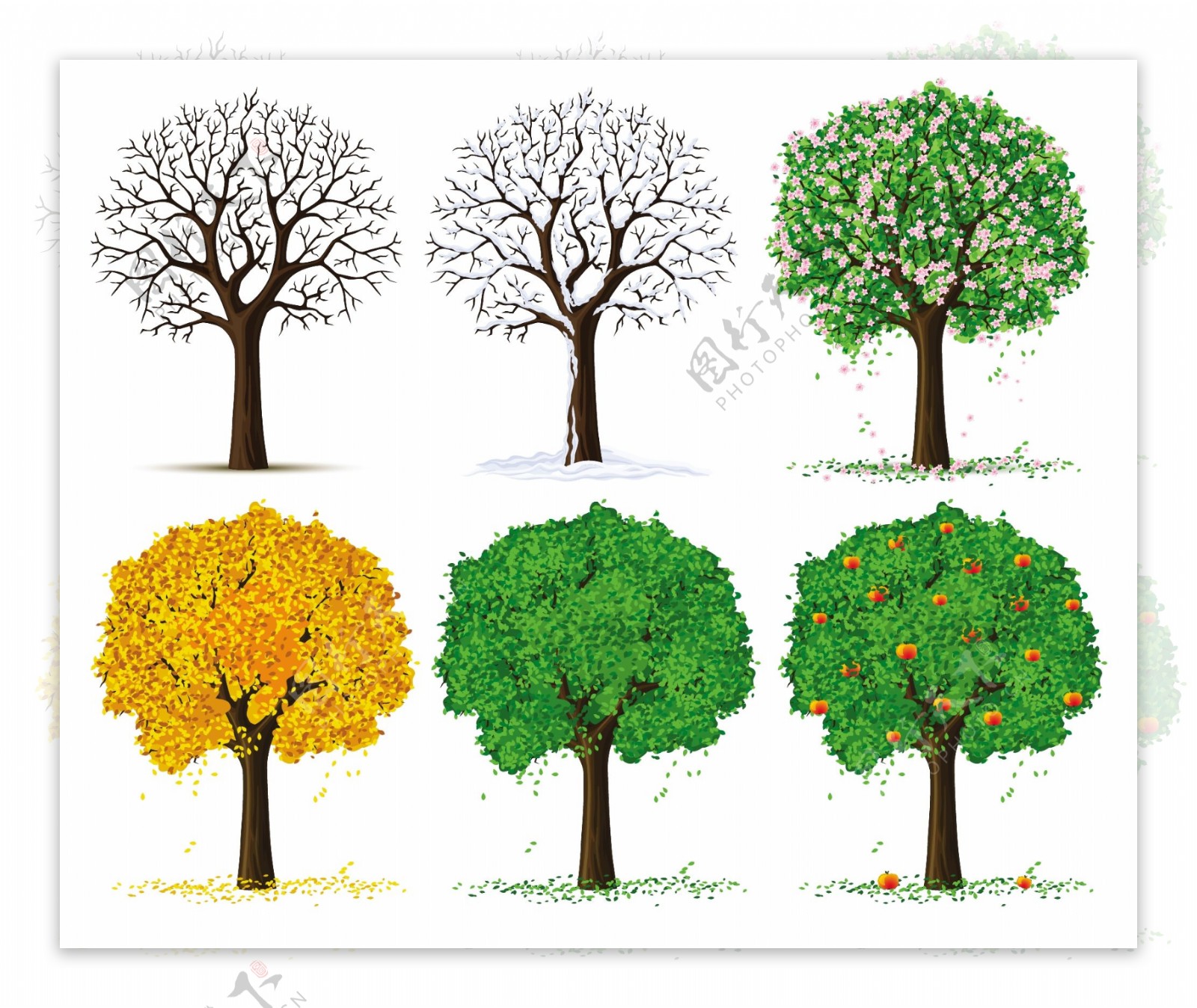 四个季节的树