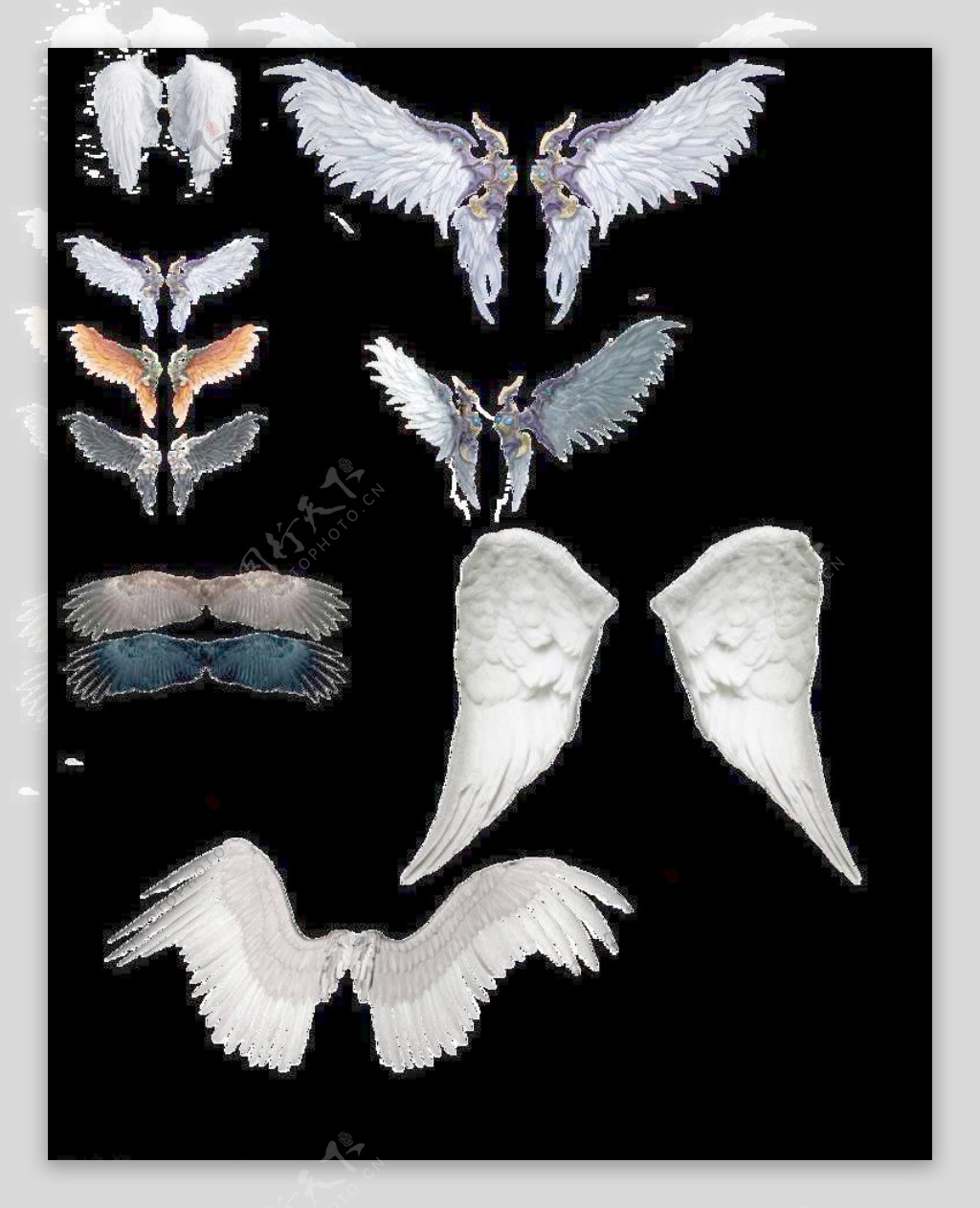 天使的翅膀图片