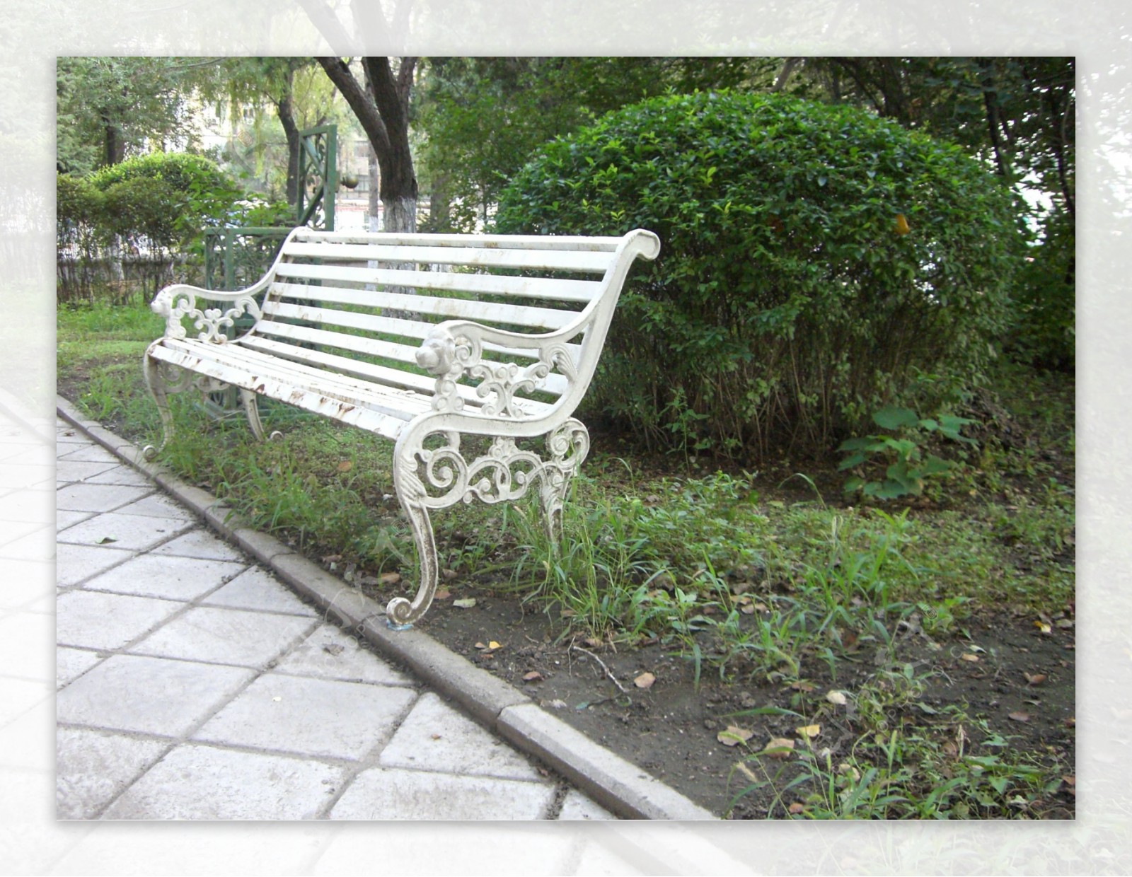 夜幕下的哈尔滨颐园白色长椅