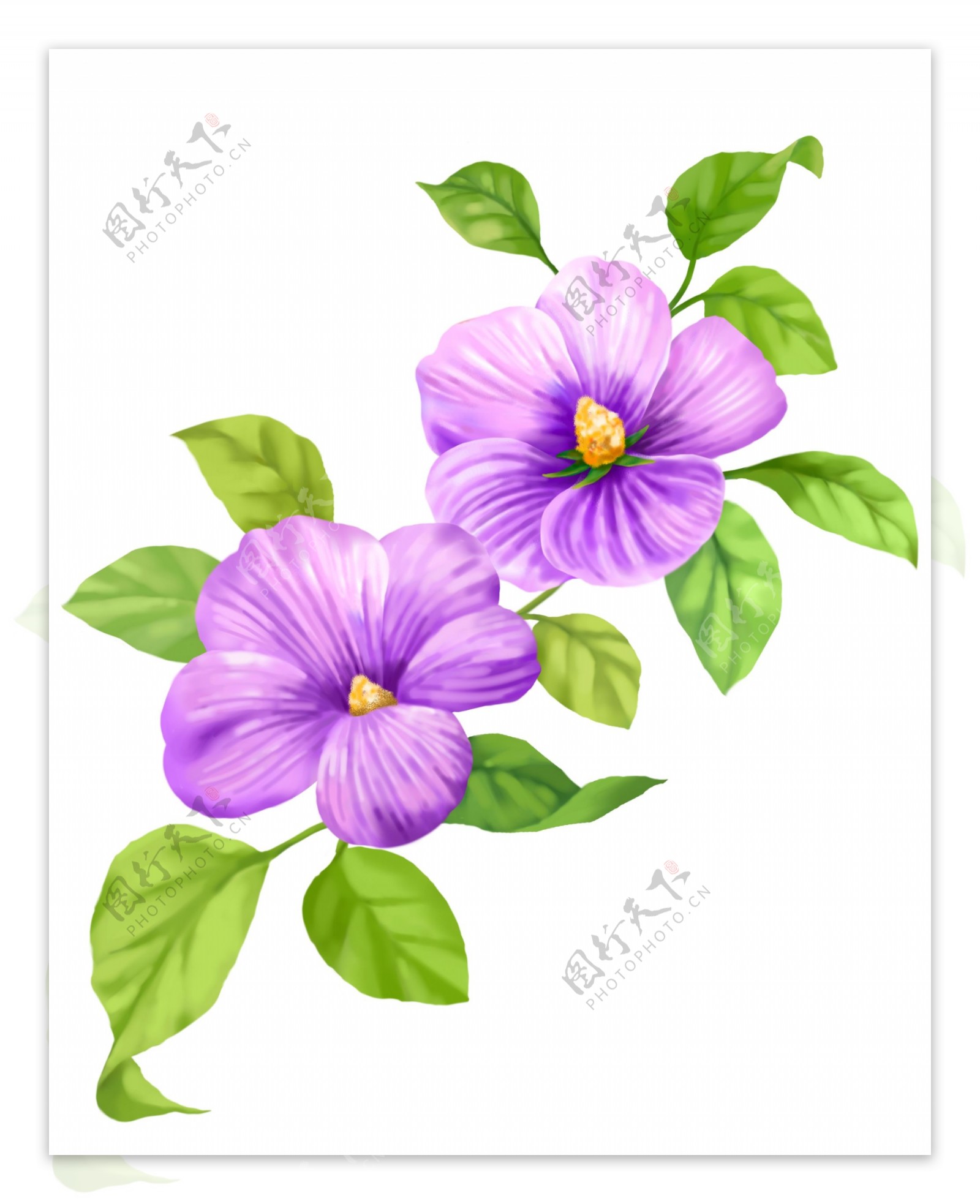 时尚紫色小花朵4