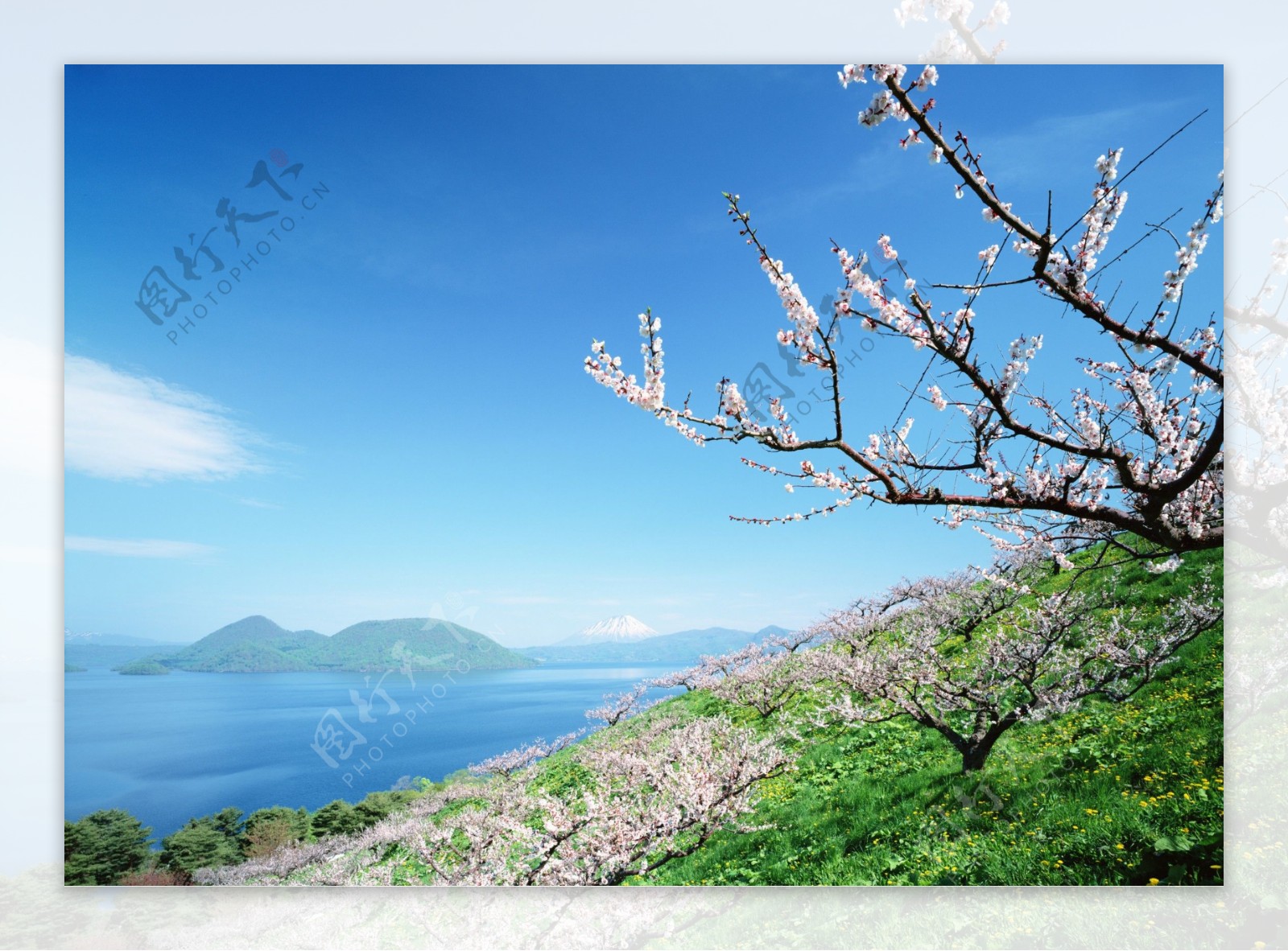 北海道春季美景图片