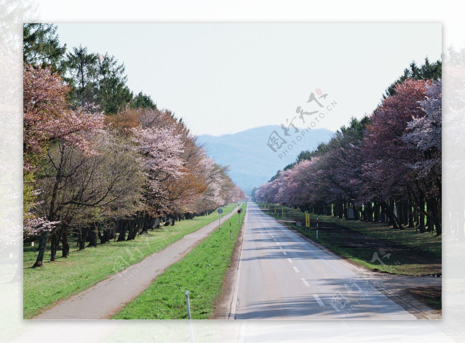北海道春季美景图片