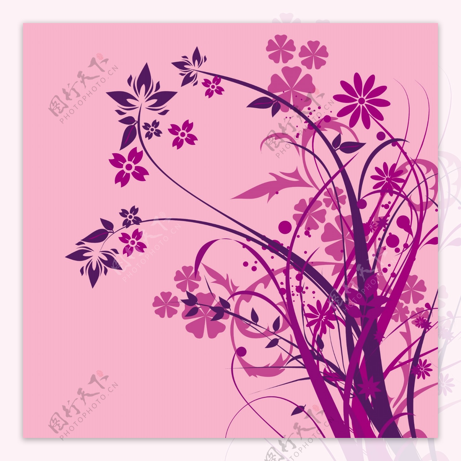 紫色时尚花卉剪影图片