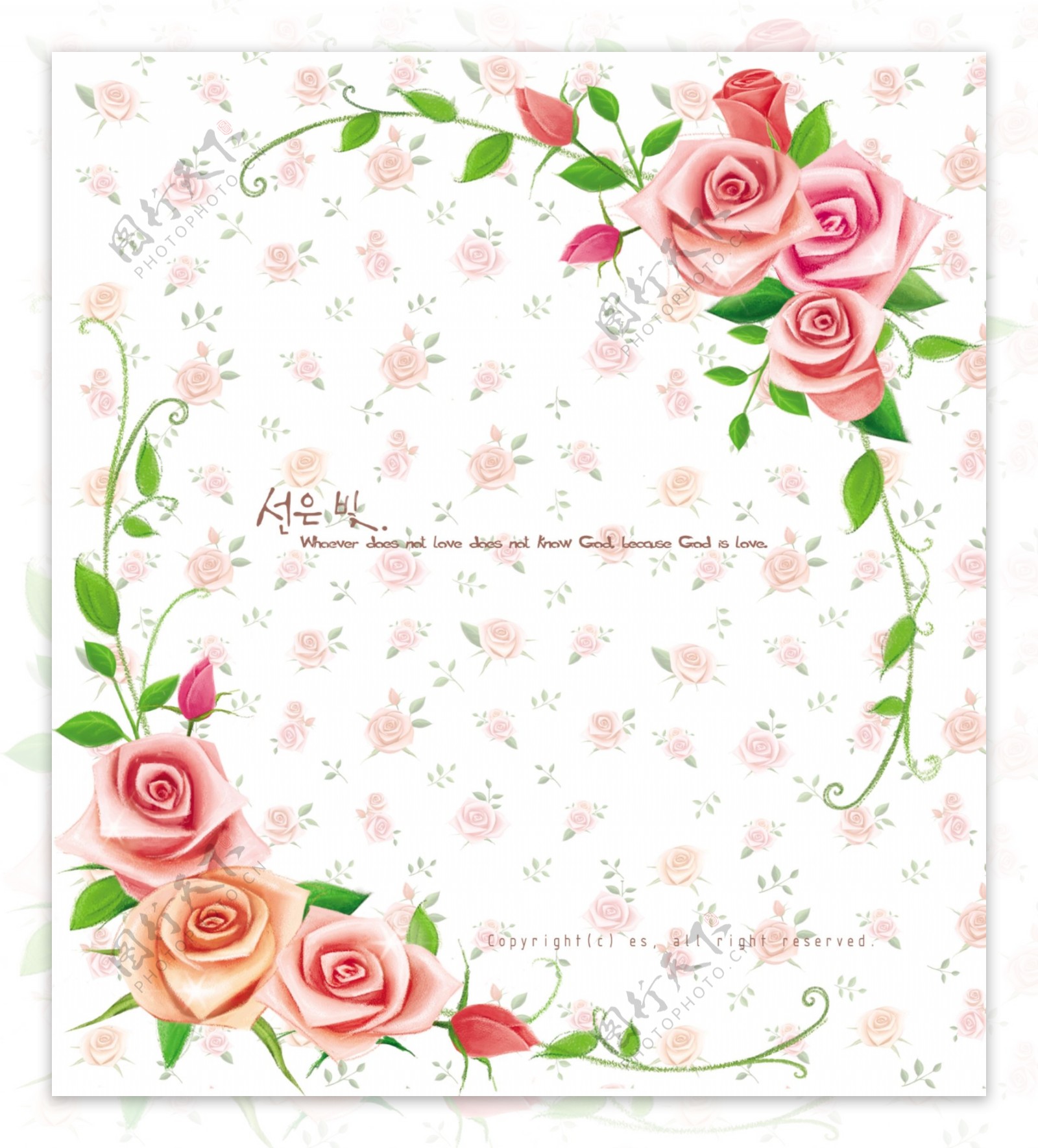 玫瑰花与藤蔓边框设计花卉背景图设计