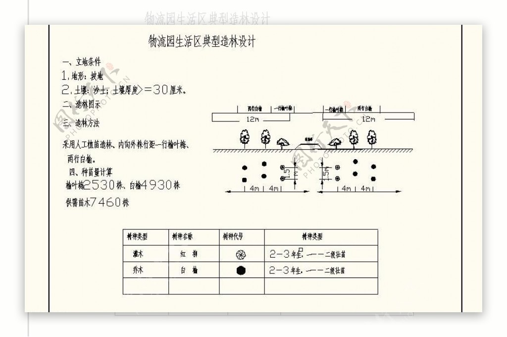 绿化典型造林模式图片