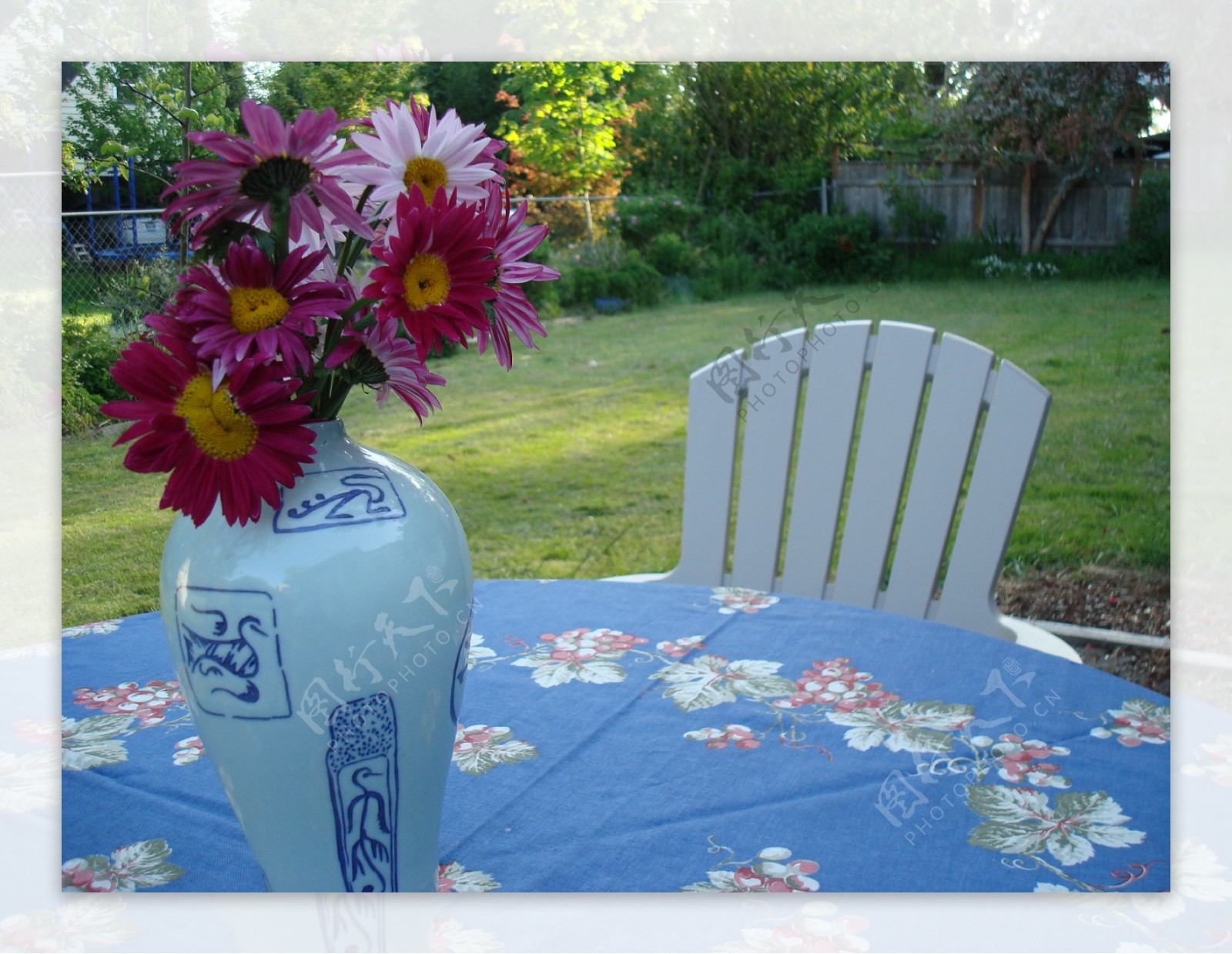 花园插画花瓶鲜花椅子桌子树草坪无人图片