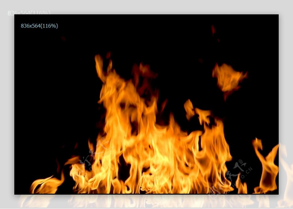 大火燃烧视频素材