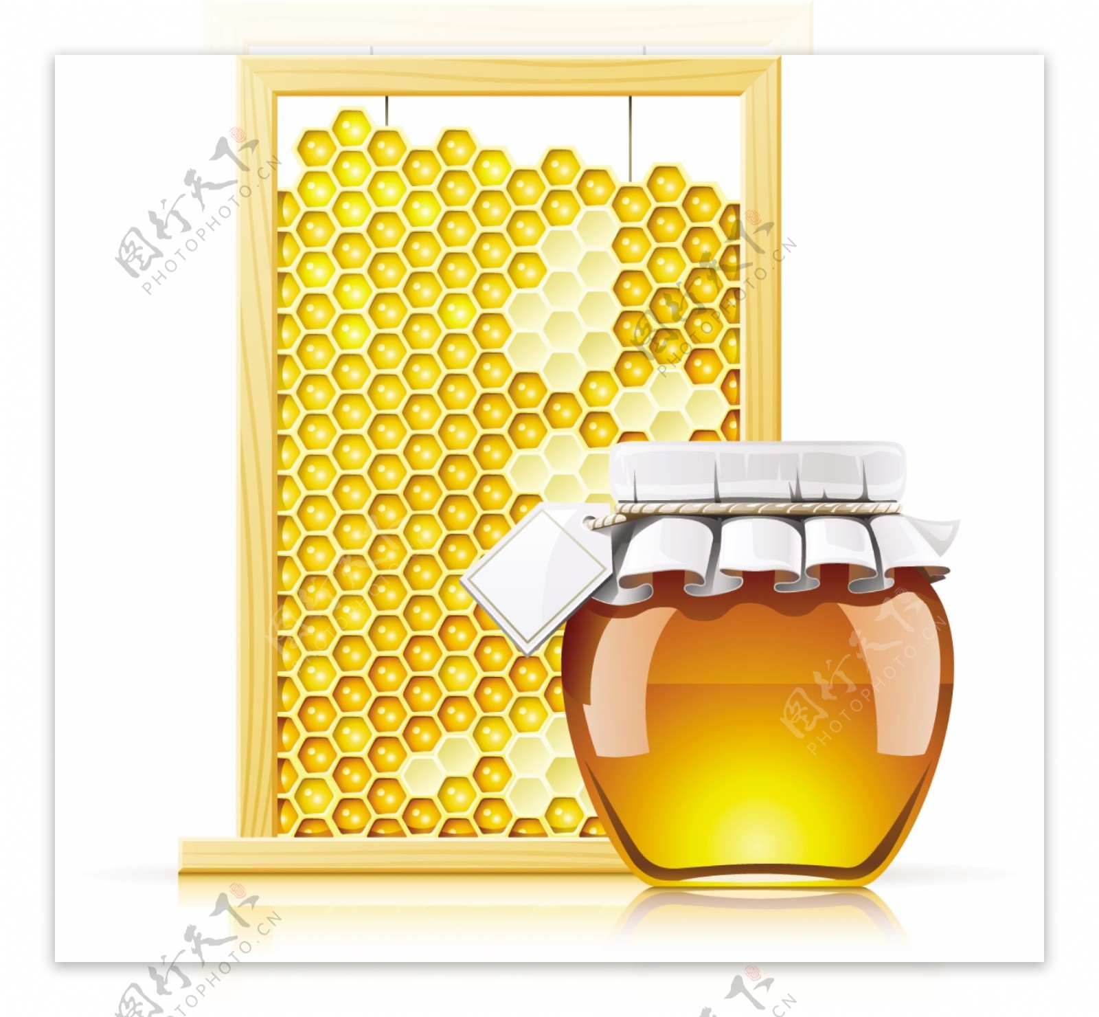 精美蜂蜜与蜂巢矢量素材