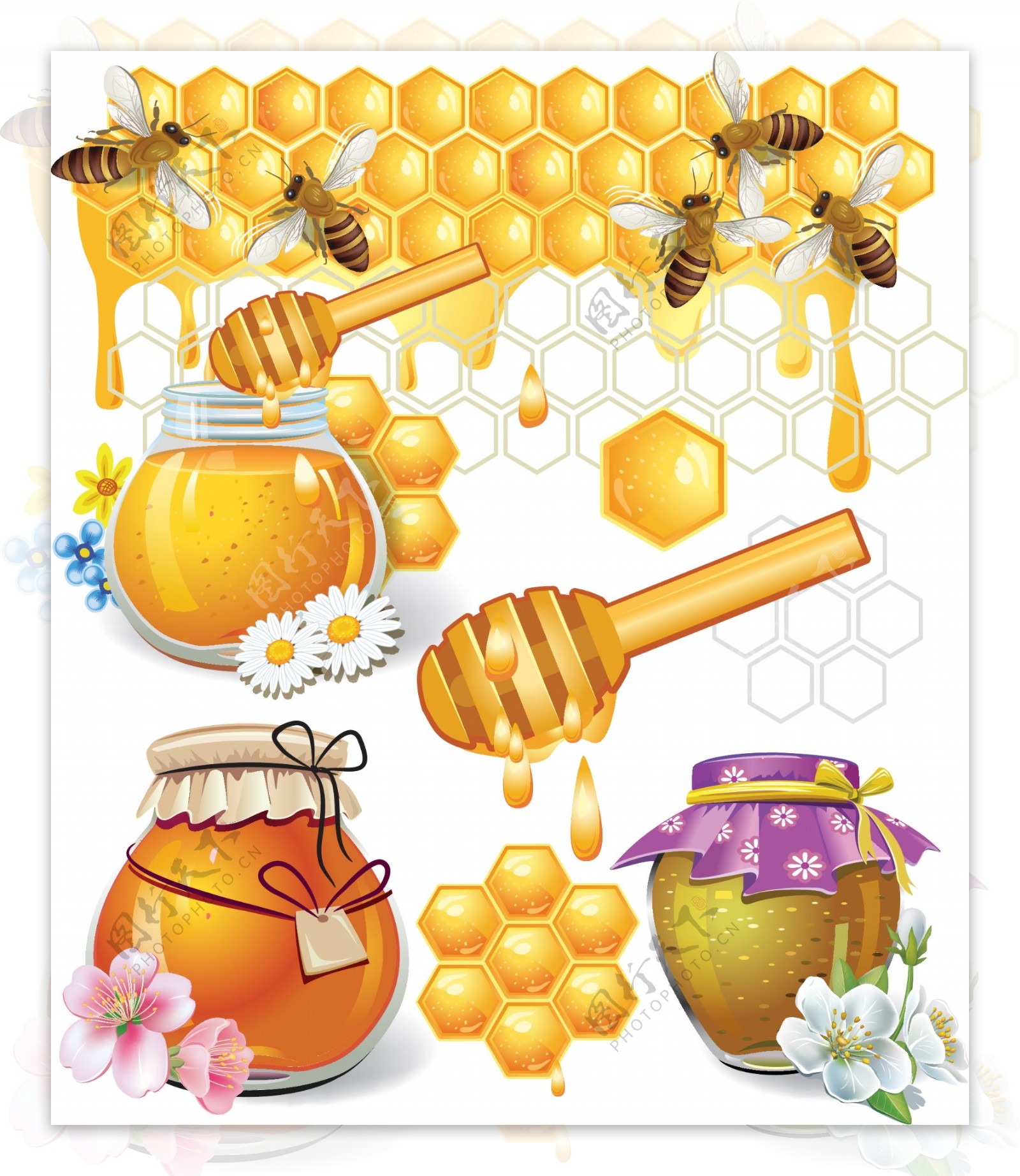 蜜蜂蜂蜜图片
