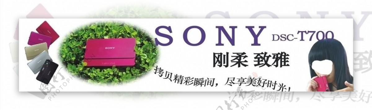 sony数码相机图片