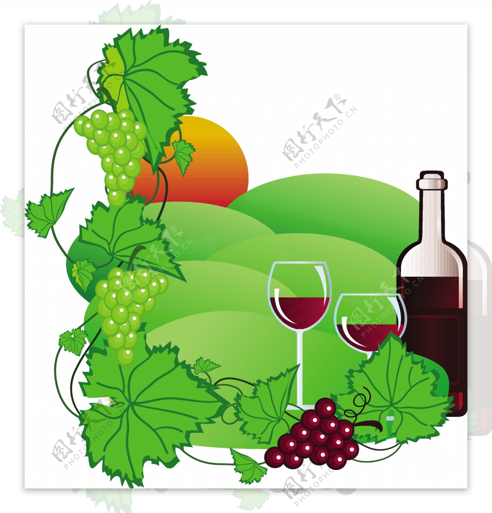 现实的葡萄和葡萄酒的设计矢量图05
