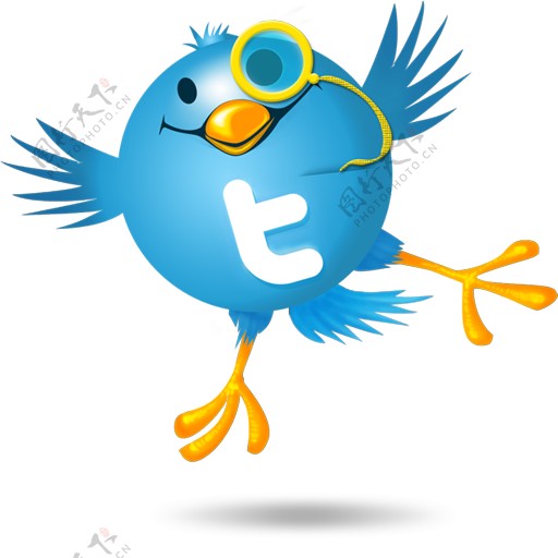 3个可爱的推特鸟的社交媒体图标集