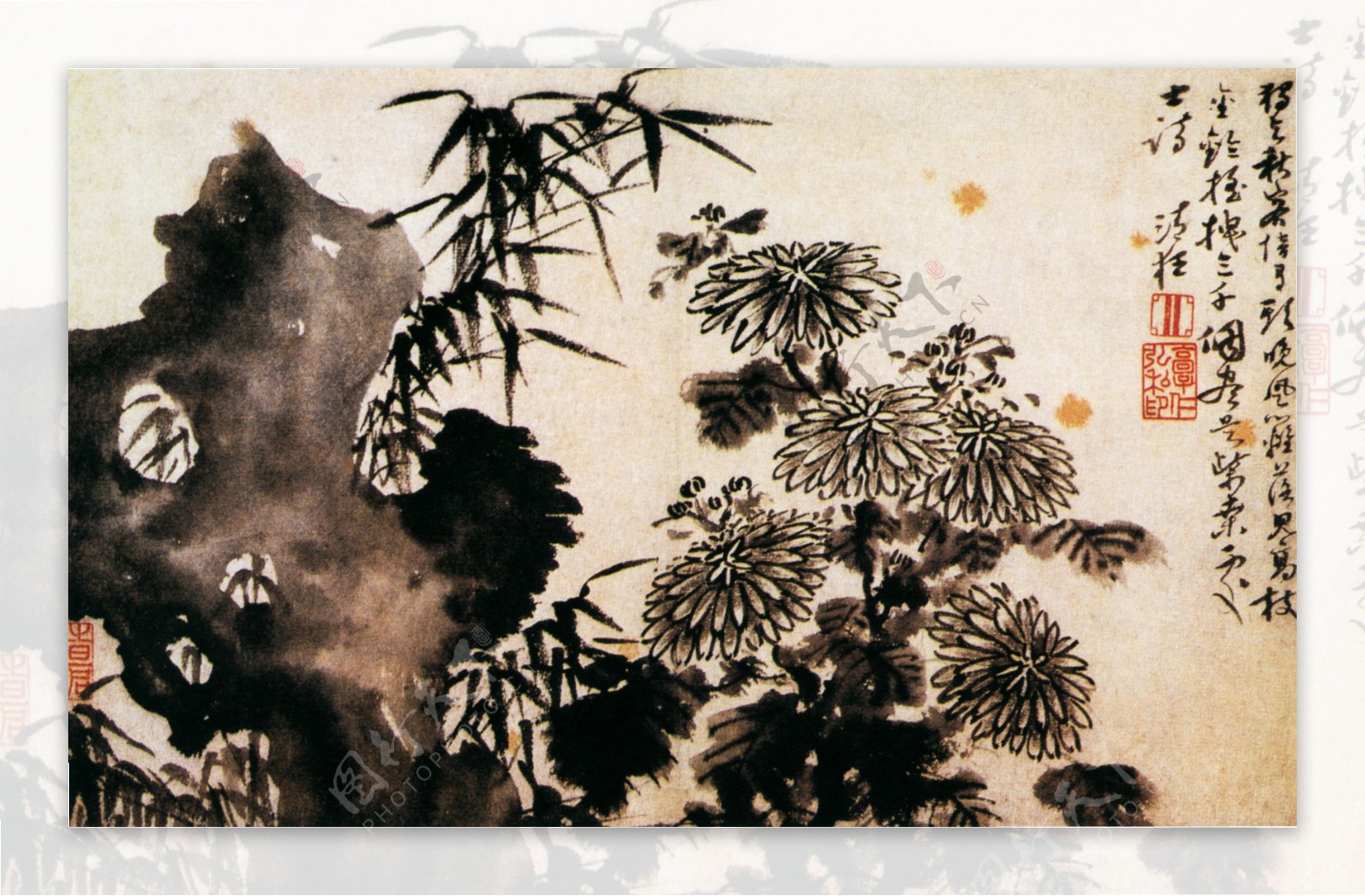 竹石秋菊图图片