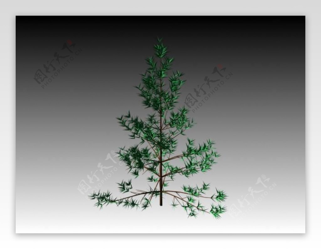 植物小树装饰素材室内装饰素材免费下载家装装饰素材15