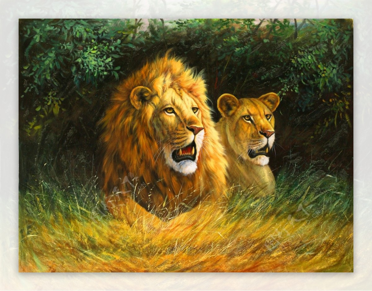 壁紙狮子油画