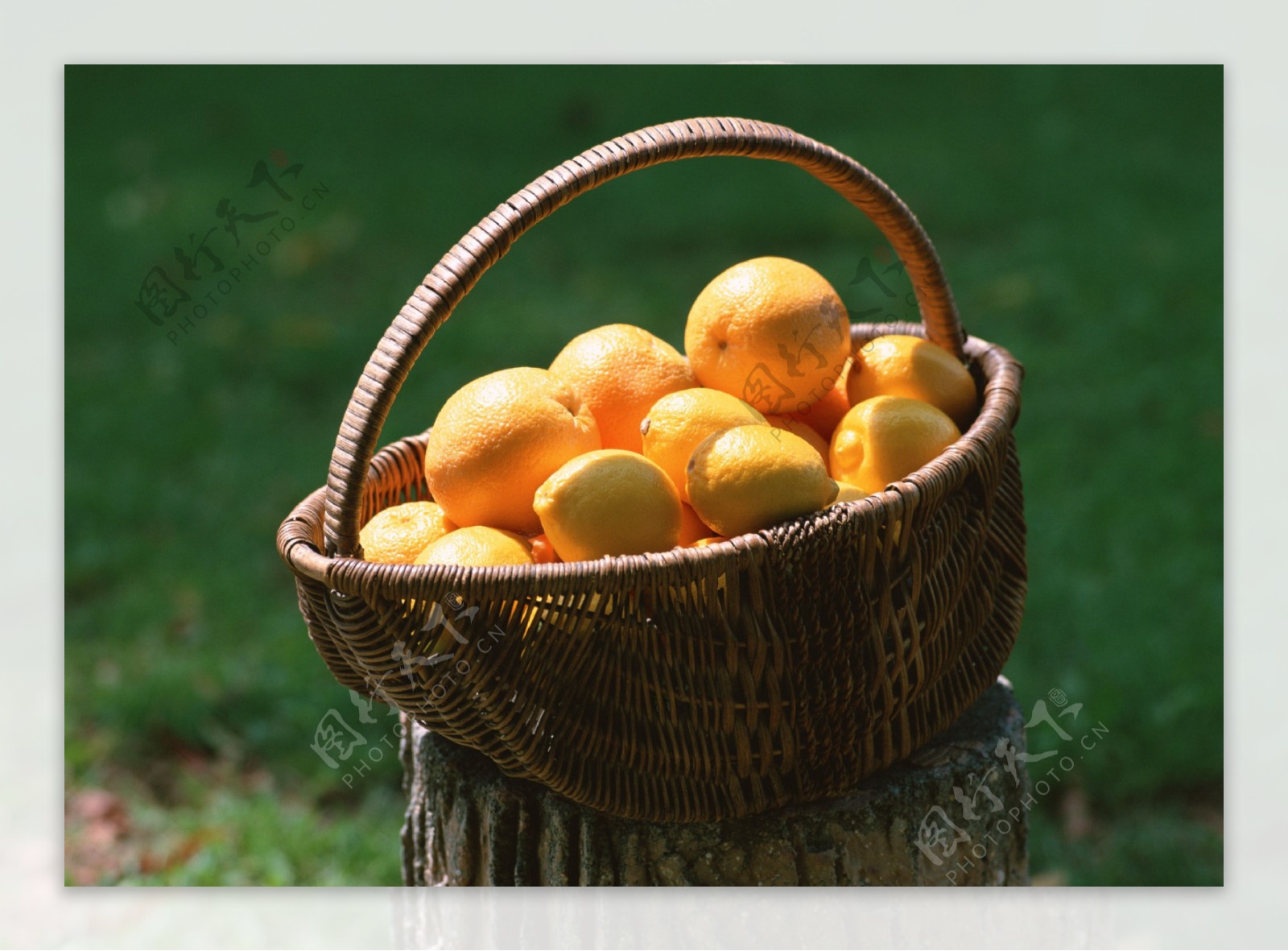水果新鲜橙色