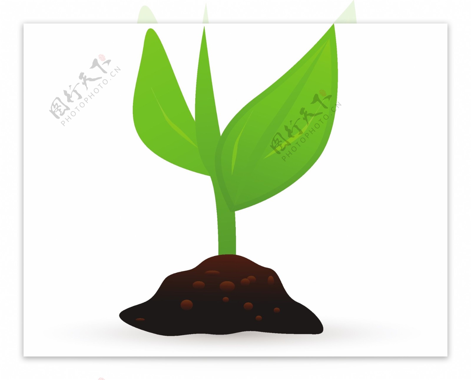 植物生长Lite应用程序图标