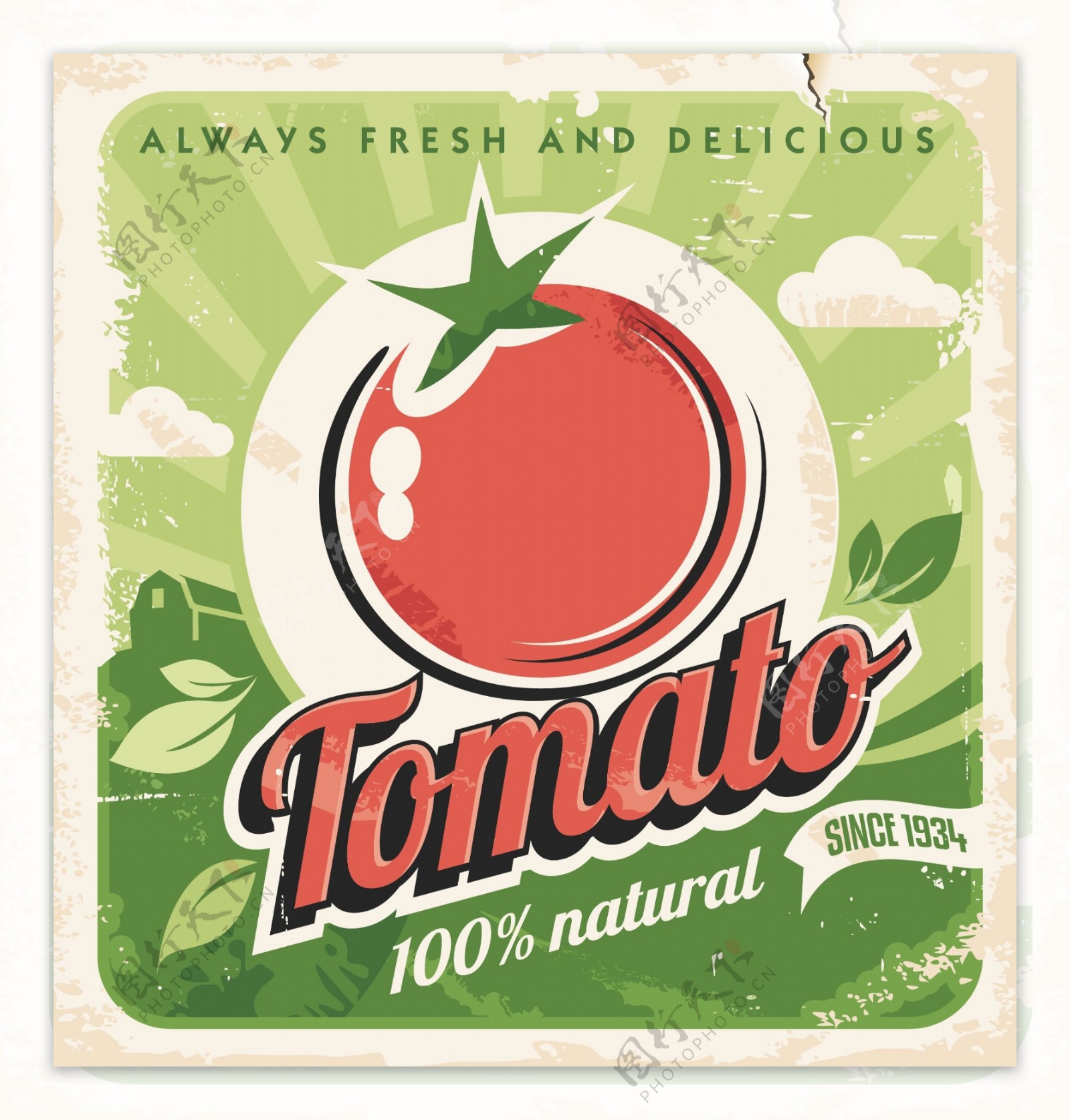 新鲜番茄的复古风格的海报矢量素材02
