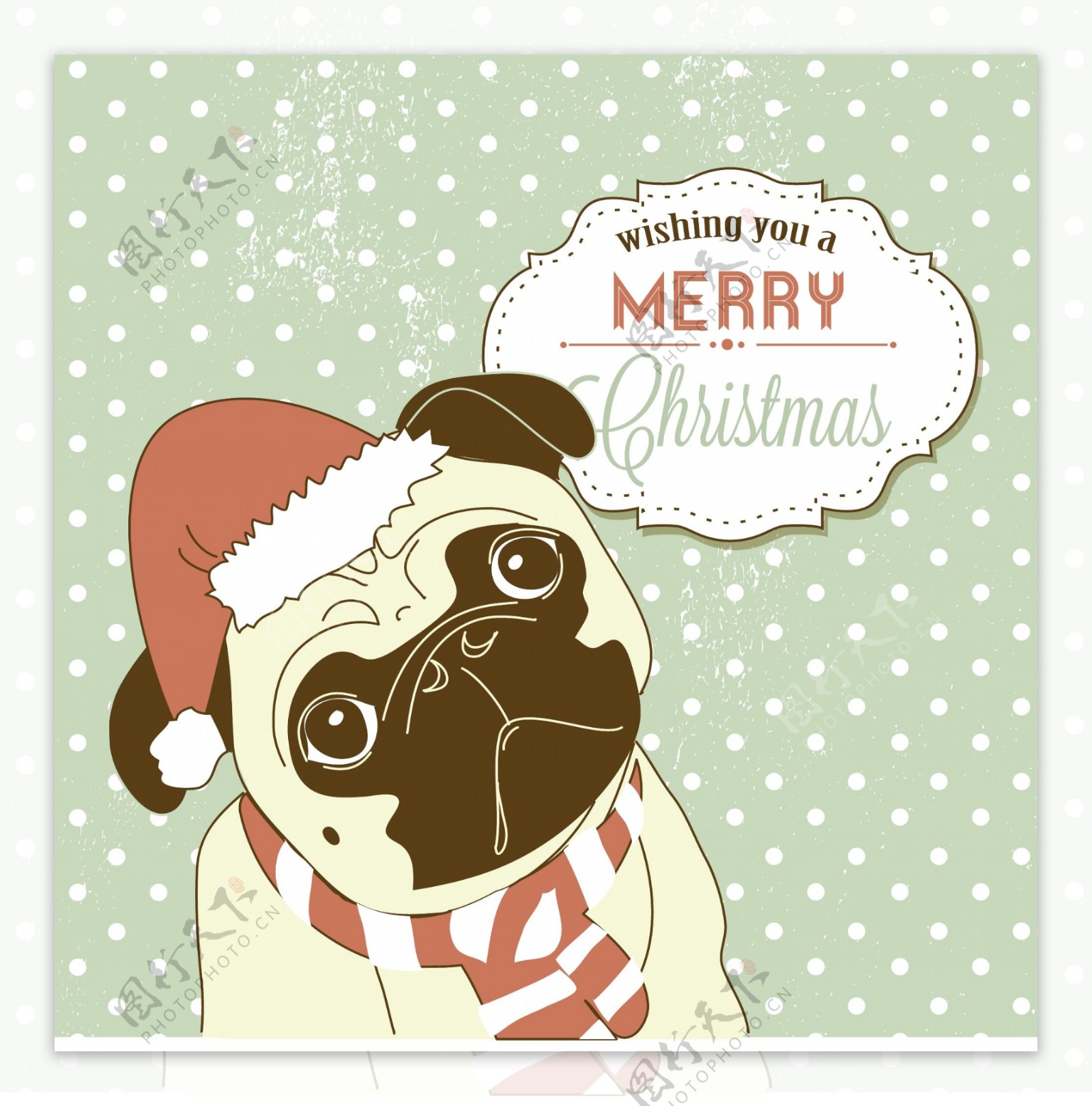 圣诞节的哈巴狗可爱的小狗狗圣诞老人的帽子