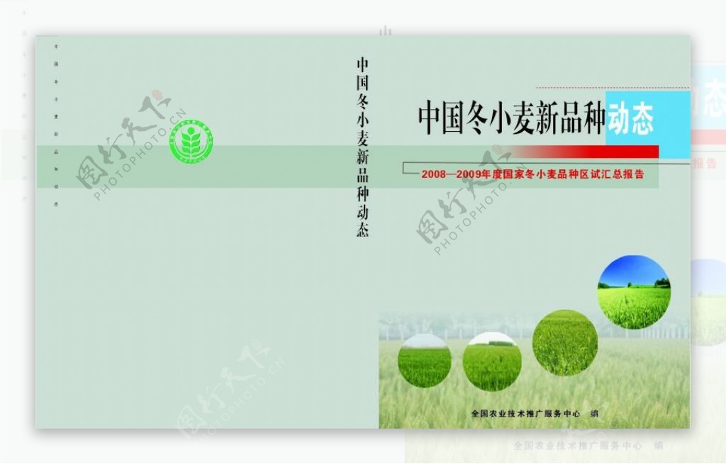 中国冬小麦品种封皮图片