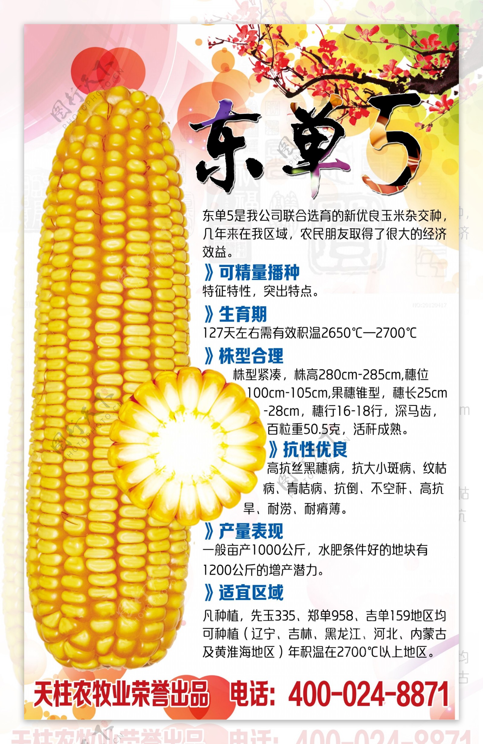 伟育618玉米品种简介-图库-五毛网