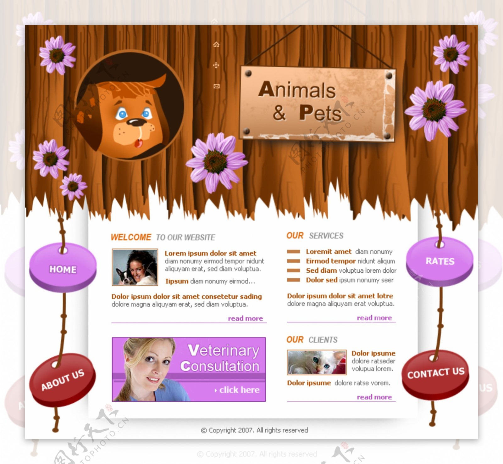 宠物世界网页模板
