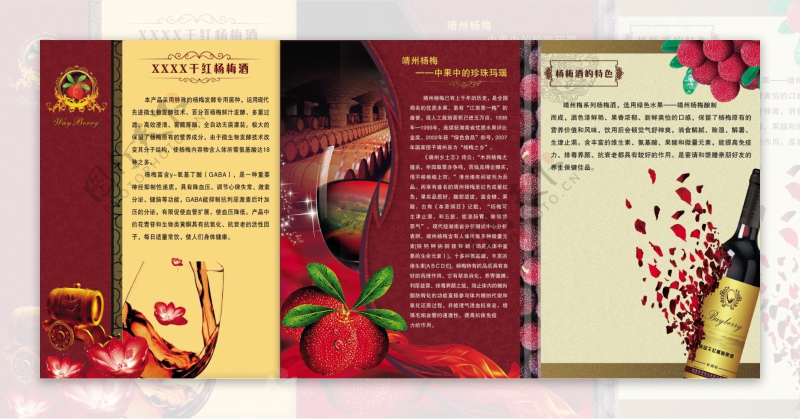 杨梅酒宣传页图片