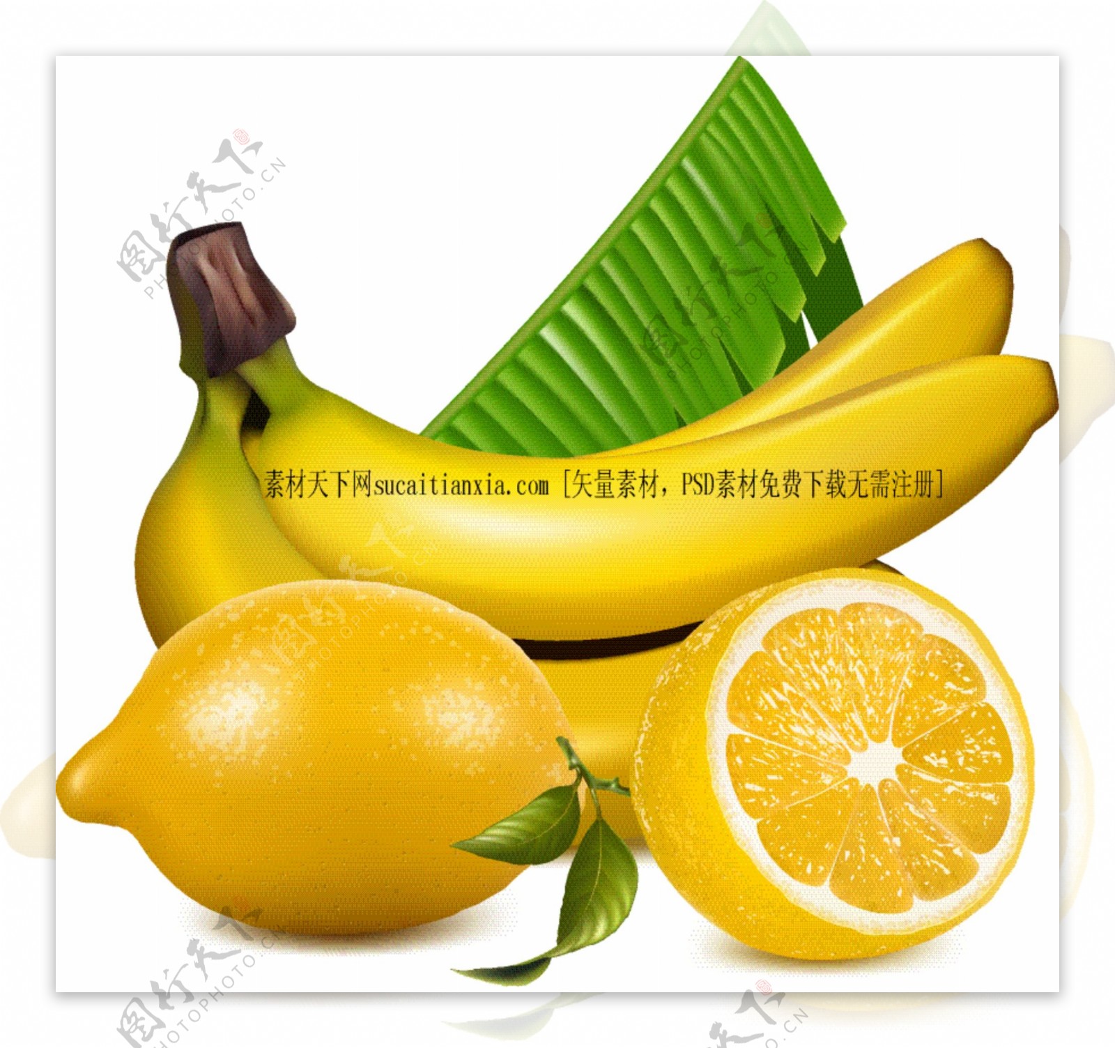 柠檬香蕉图片