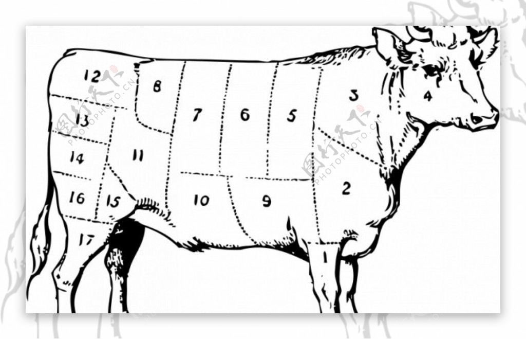 牛的肉部分矢量图