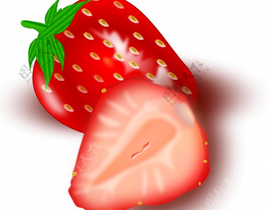 切矢量图像的草莓