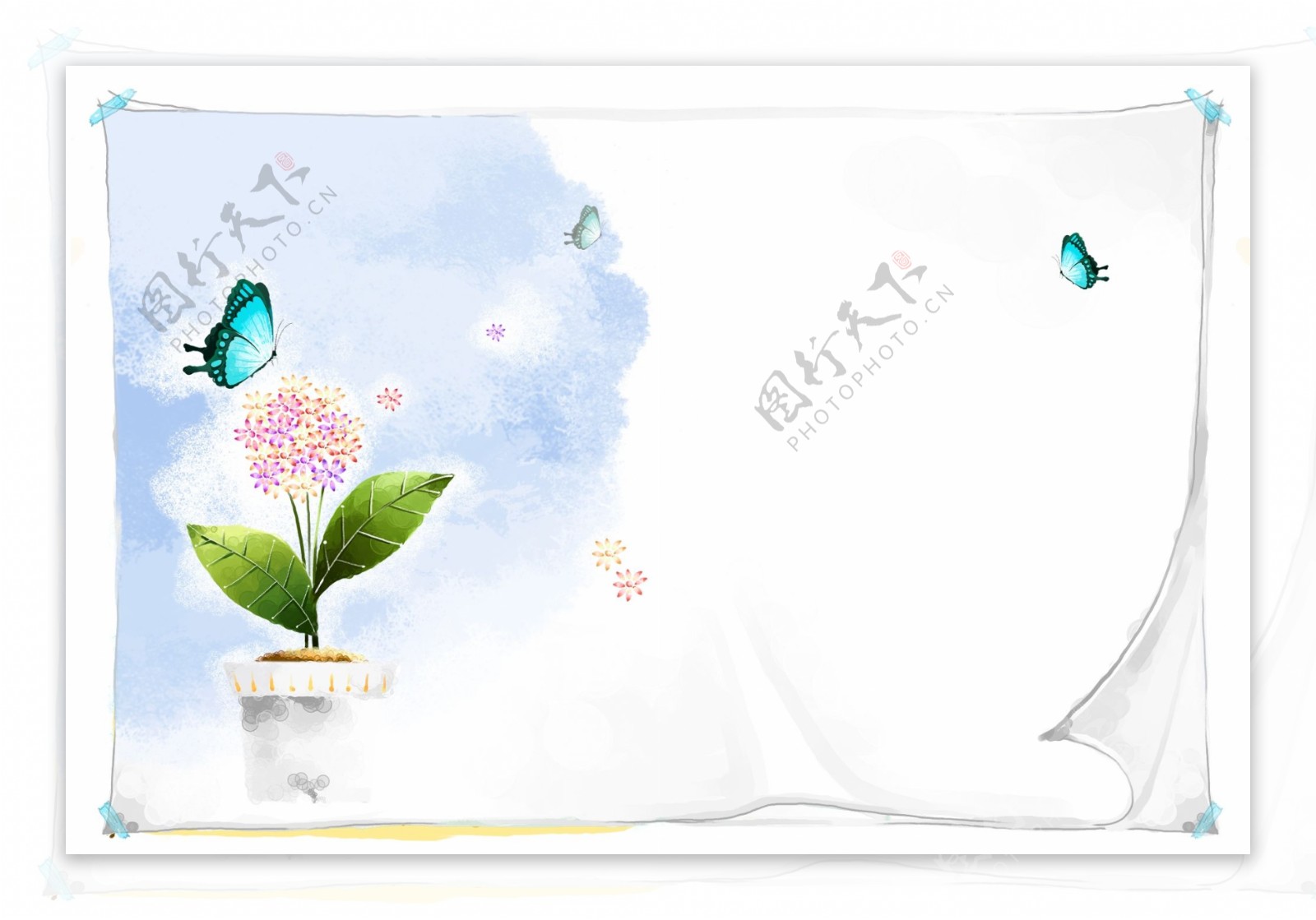 蝴蝶花朵PSD源文件分层素材
