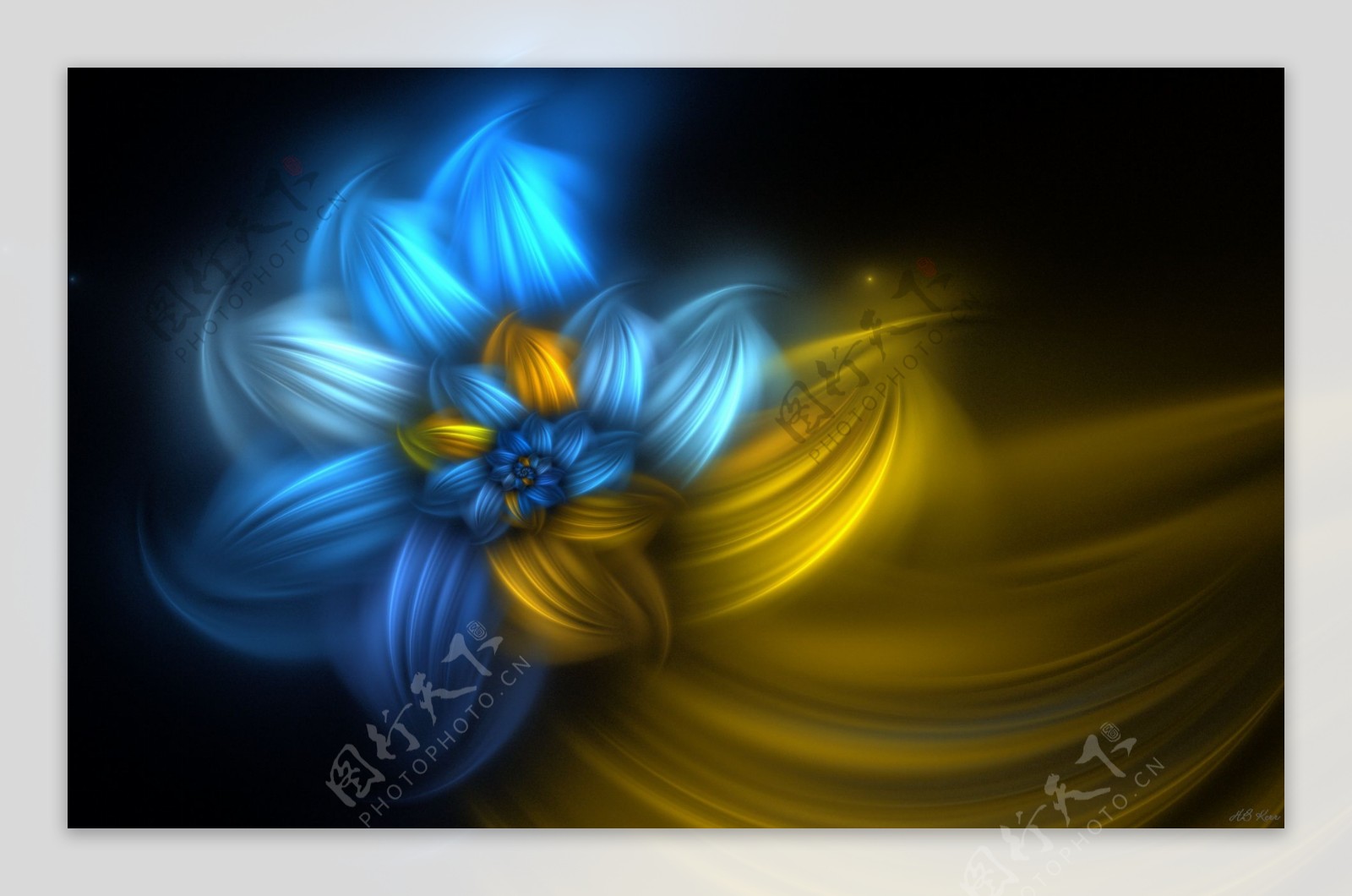 蓝黄花朵