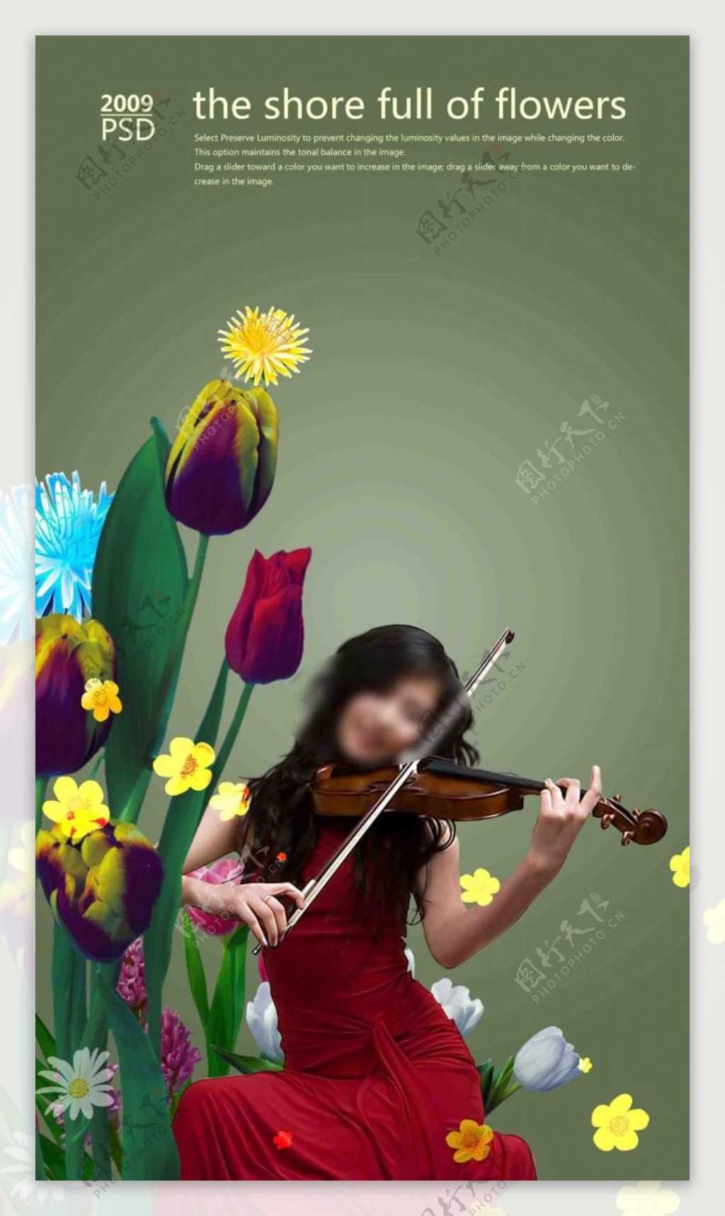 提琴美女素材图片