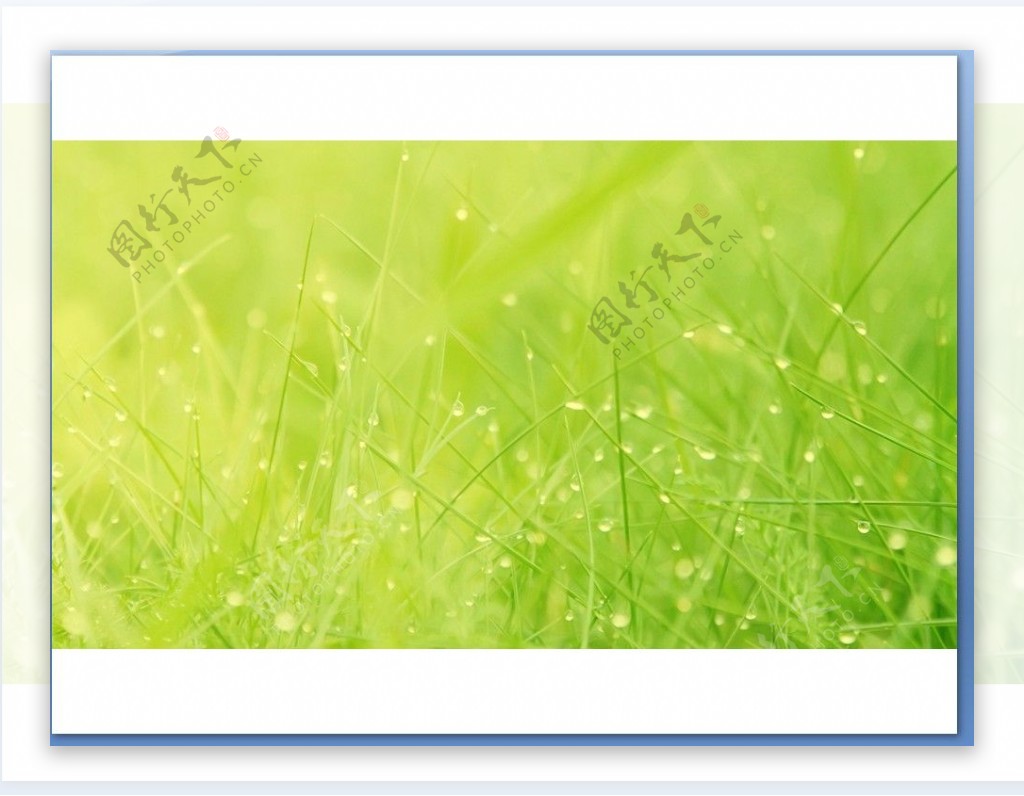 绿色桌面背景，绿色风景PPT背景图片|PPT宝藏提供