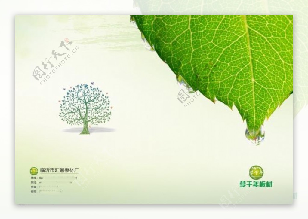 绿色树叶画册封面