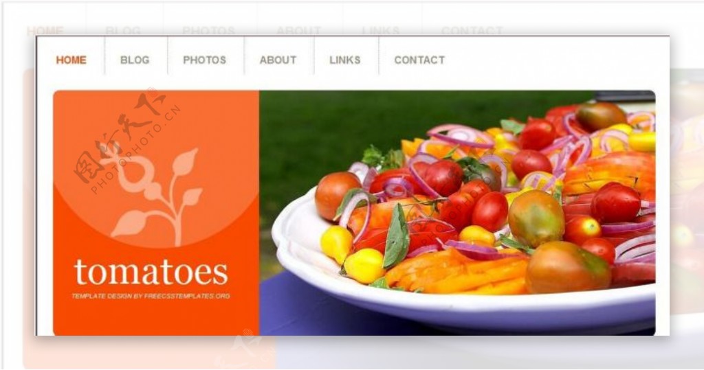 橙色番茄主题信息网页模板