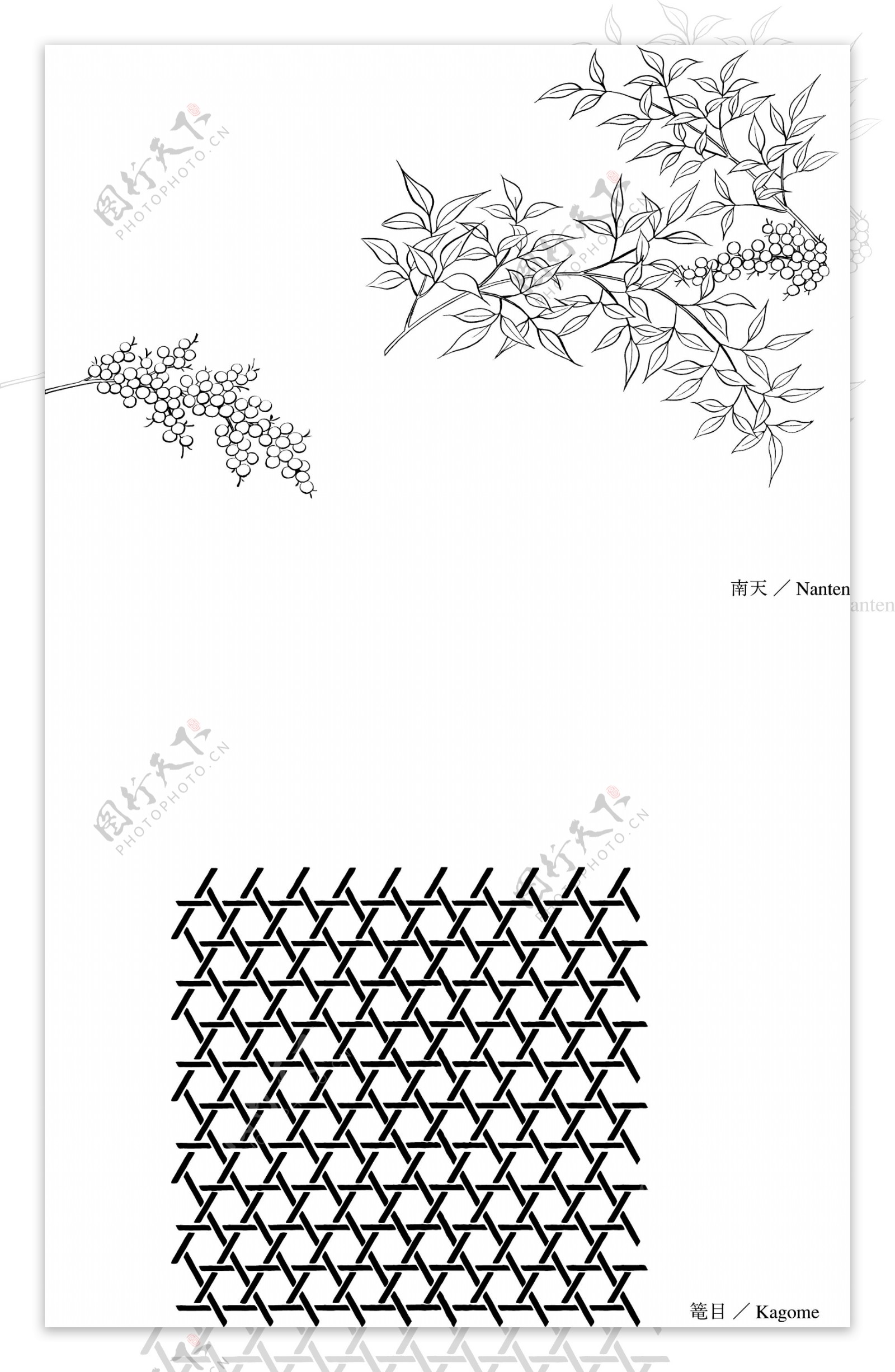 日本的植物花卉矢量素材36南画