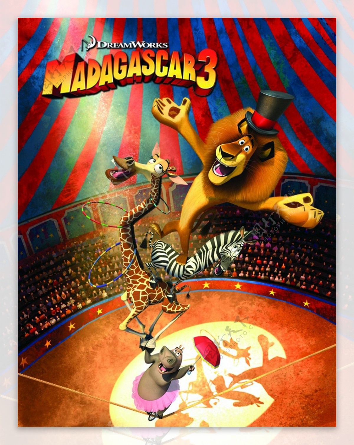 位图热门动画马达加斯加3动物狮子免费素材
