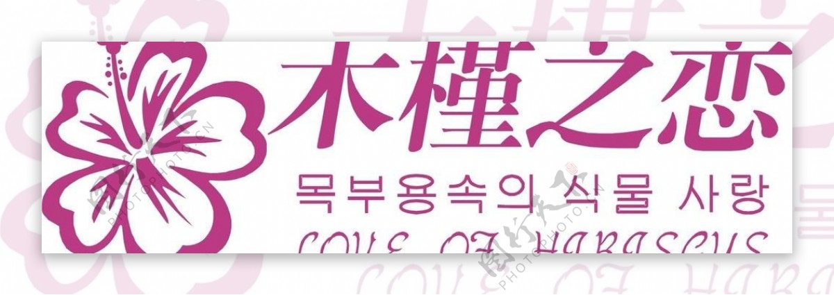 木槿之恋logo图片