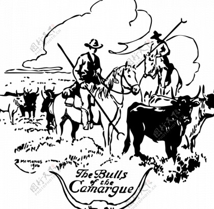 公牛的卡马格矢量插画